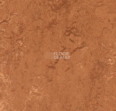 Линолеум Forbo Marmoleum Decibel on Order 276735 rust фото 1 | FLOORDEALER